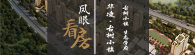 凤眼看房